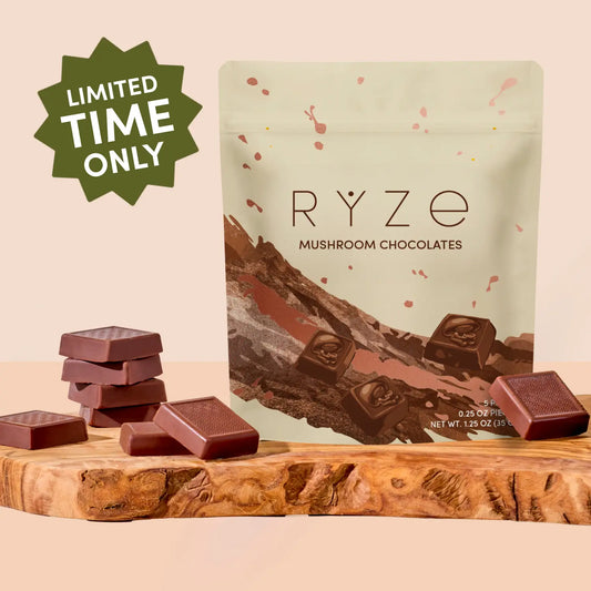 Mushroom Chocolates Rye (15 pieces) - UY13