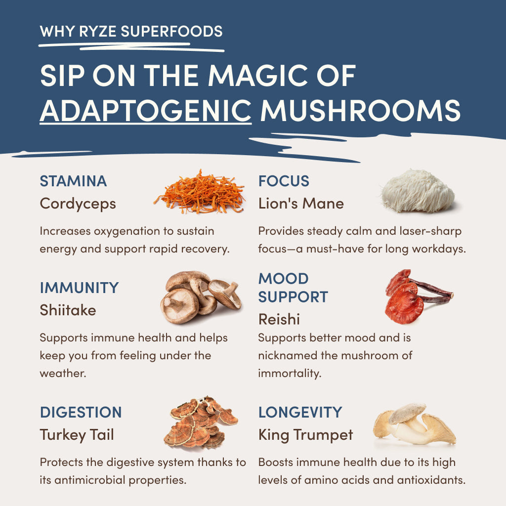 RYZE Nighttime Mushroom Cocoa Starter Bag - H978