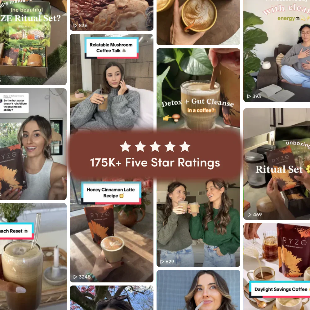 Mushroom Coffee Dark Roast Starter Kit (Upgrade) - 0D8L
