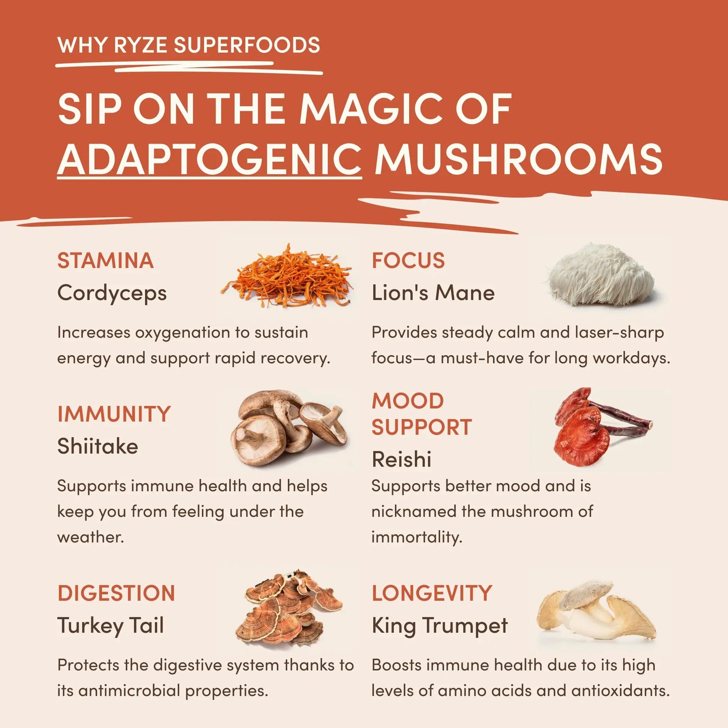 Mushroom Coffee (1 pack - 30 Servings) - CJEM