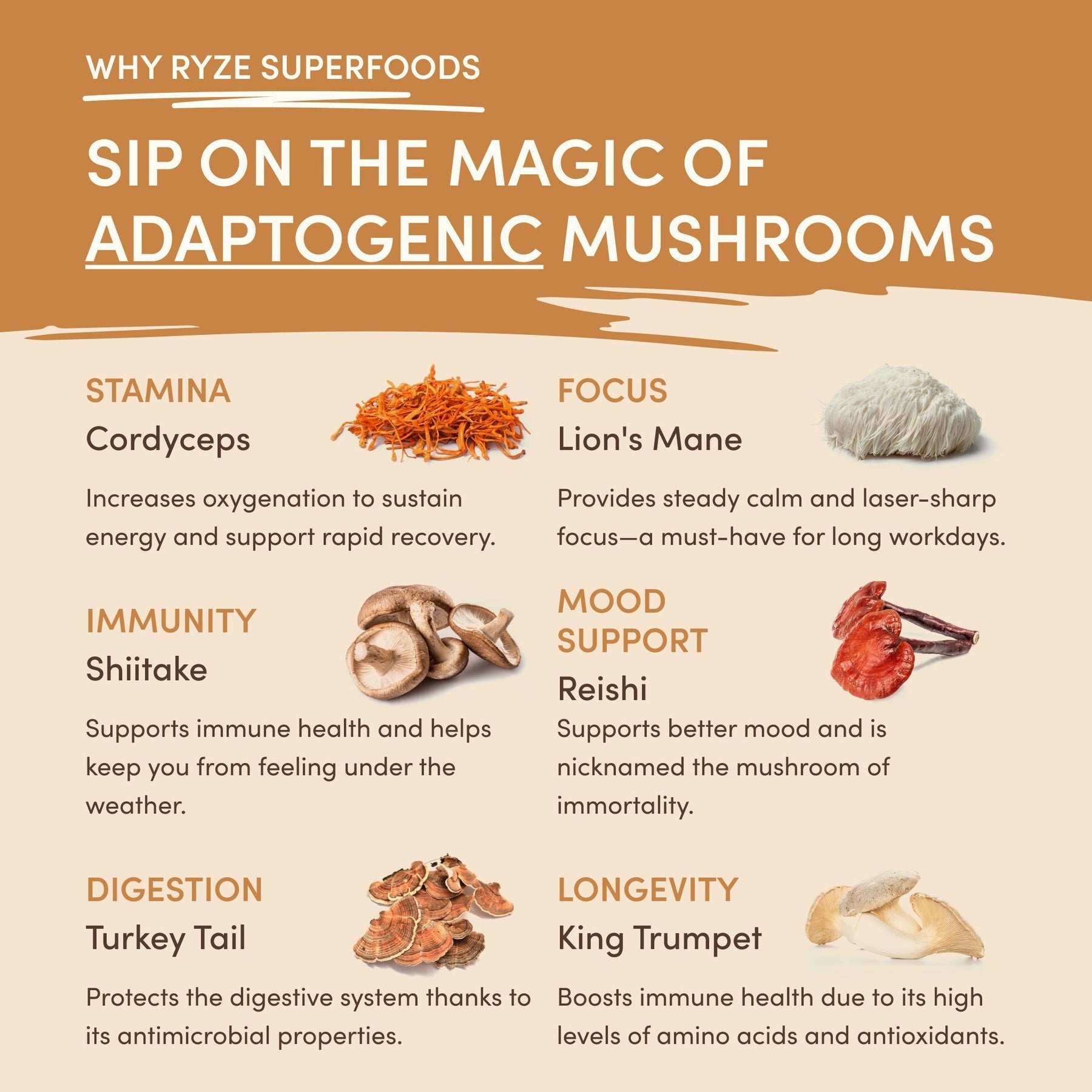 Mushroom Overnight Oats (14 Servings) - C6DZ