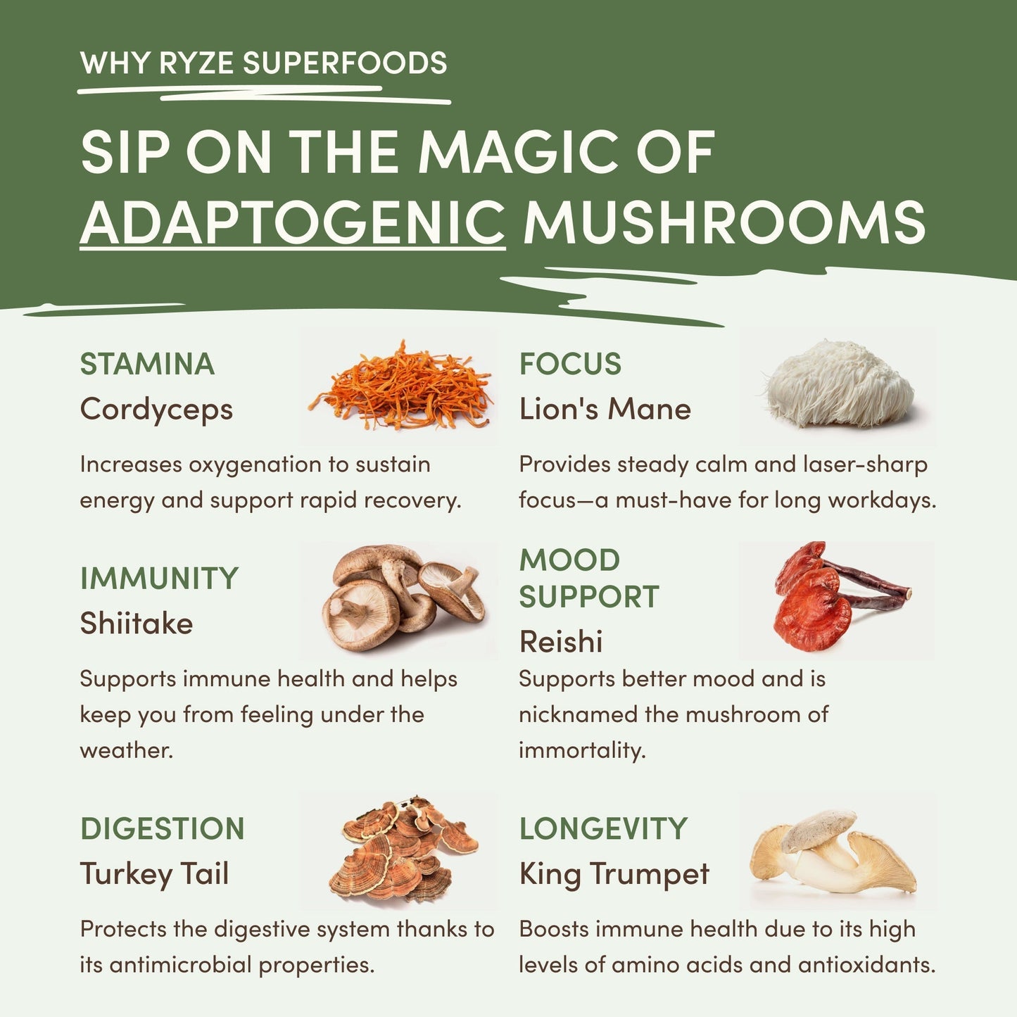 Mushroom Matcha (1 Pack - 30 Servings) - 183D