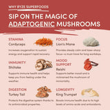 Mushroom Chai (1 Pack - 20 Servings) - NWXX