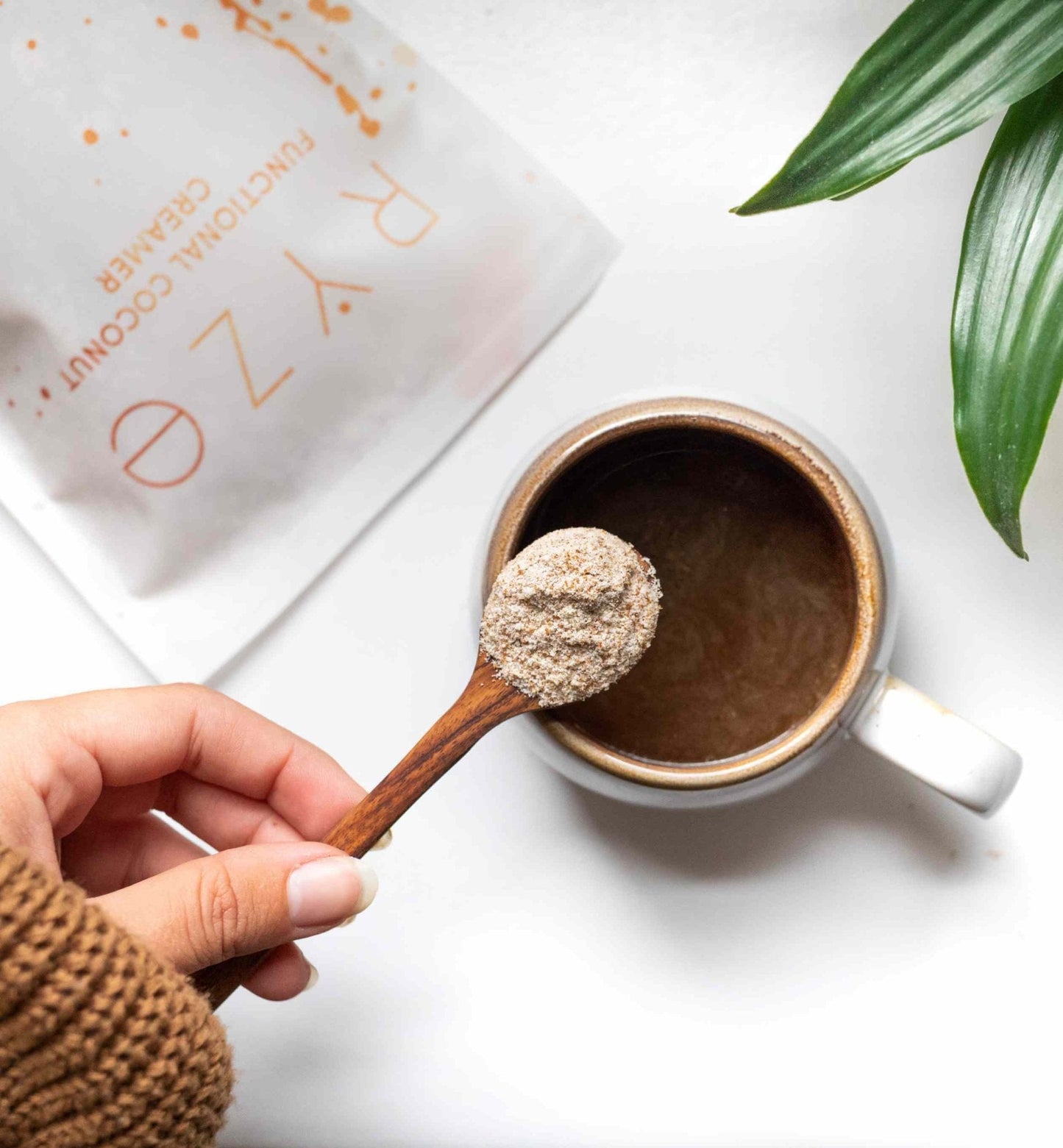 Probiotic Creamer (SPECIAL PRICING) - B6L9
