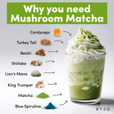 RYZE Mushroom Matcha - with 6 Organic Adaptogenic Mushrooms Grown In USA and Ceremonial-Grade Japanese Matcha - YGQ9