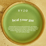 RYZE Mushroom Matcha - with 6 Organic Adaptogenic Mushrooms Grown In USA and Ceremonial-Grade Japanese Matcha - YGQ9