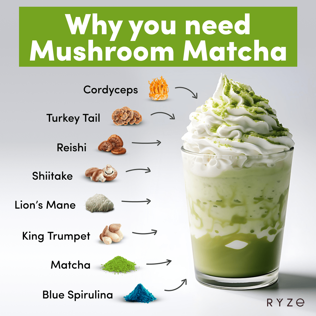 RYZE Organic Mushroom Matcha Starter Kit (60 servings) - MIJR