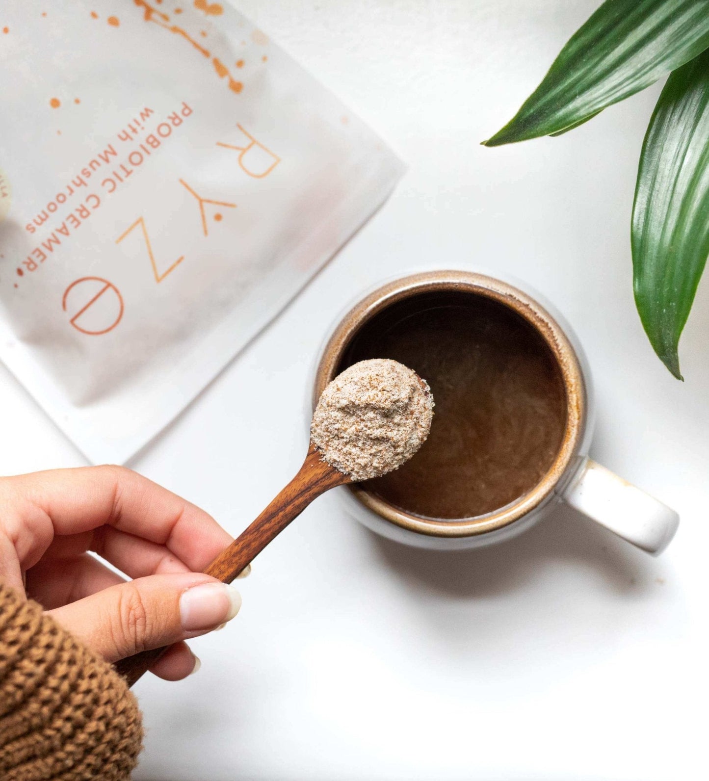 Try our Probiotic Creamer for 50% OFF! - L7UH